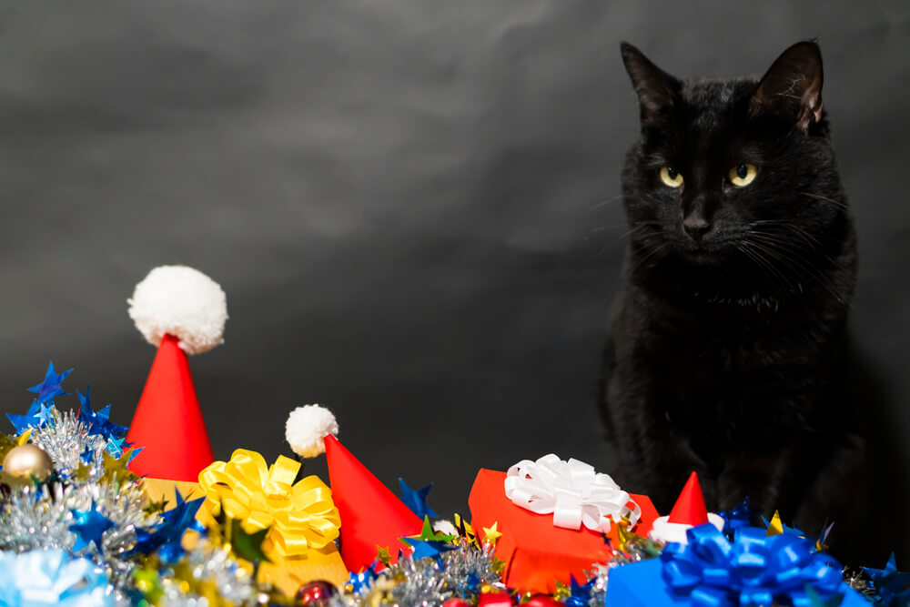 A black cat sitting next to some party hats and New Years decorations.