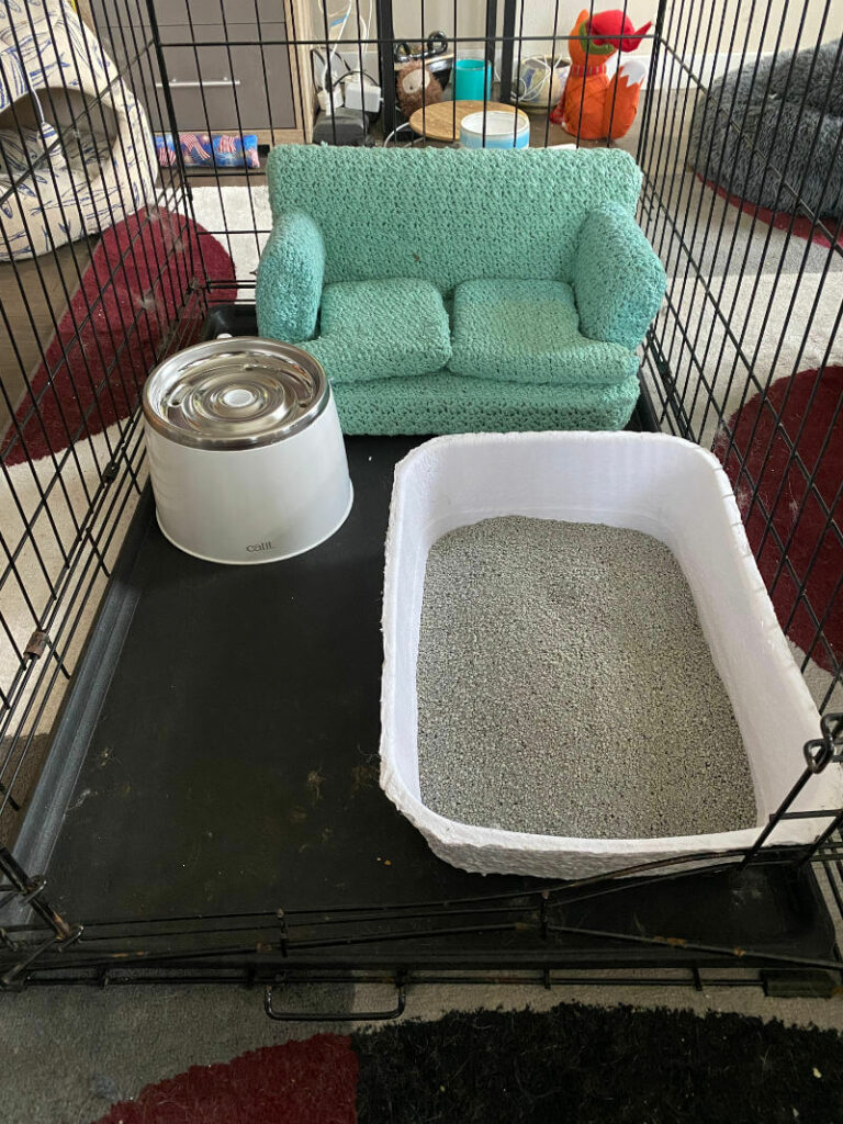 A crate setup for a cat with litterbox, food and bedding.