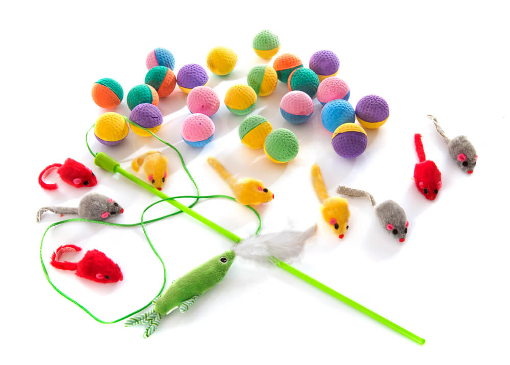 A collection of cat toys on a white background.