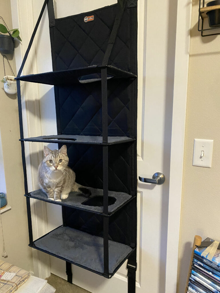 A grey cat sitting on one of my favorite cat supplies, an over the  cat door cat tower.