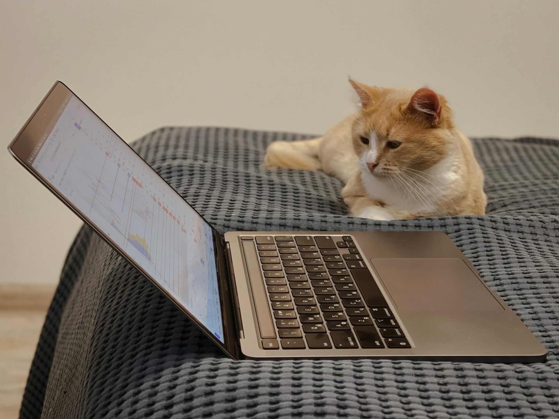 An orange and white cat sitting on a bed next to an open laptop.