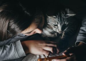 A woman cuddling with a grey cat and scrolling through her phone.