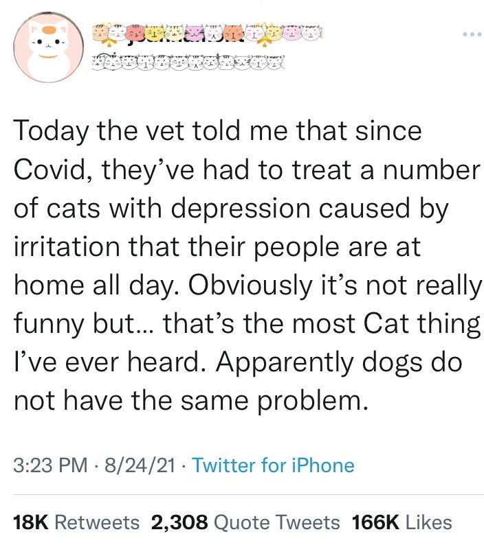 A screenshot from Twitter (with information about the user obscured) about cat depression. The tweet says "Today the vet told me that since Covid, they've had to treat a number of cats with depression caused by irritation that their people are at home all day. Obviously it's not really funny but... that's the most Cat thing I've ever heard. Apparently dogs do not have the same problem." The tweet is dated 8/24/21 and had over 18k retweets, 2300 quote tweets, and 166k likes.