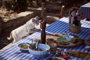 A colorpoint Siamese cat is standing with both paws on a table with a blue checked table cloth licking their lips. The table has a meal set up featuring a charcuterie board with many meats.