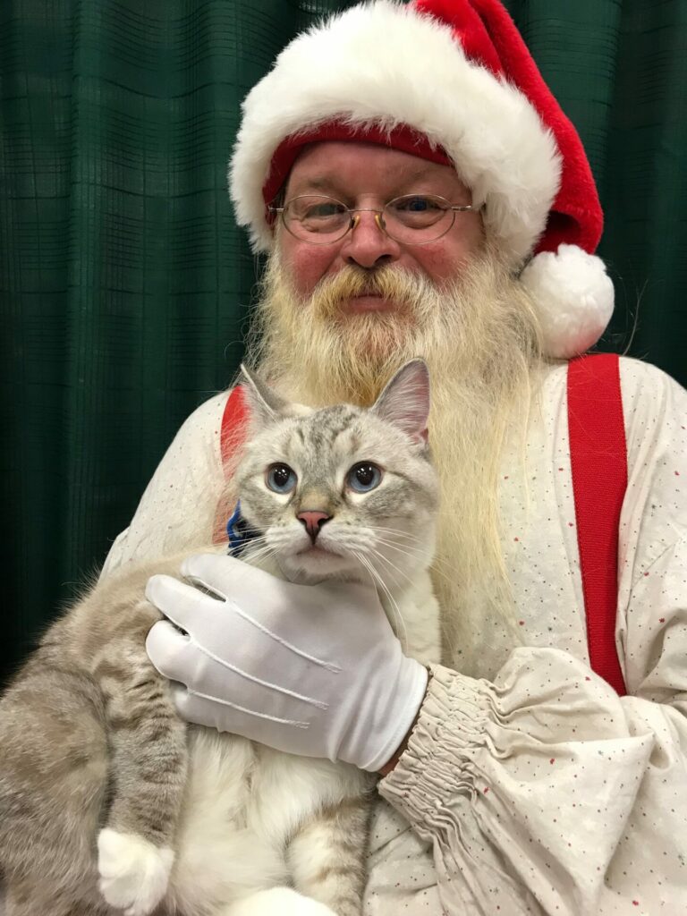 Zoloft, a lynx point Siamese cat, is held by Santa Claus.