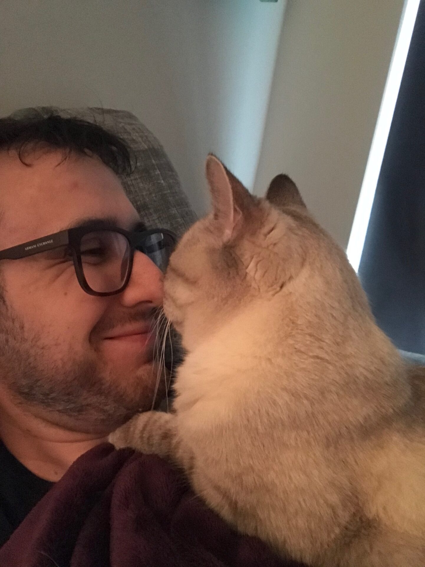 Joey Lusvardi and Zoloft, a lynx point Siamese cat, touch noses. Joey has a silly smile on his face