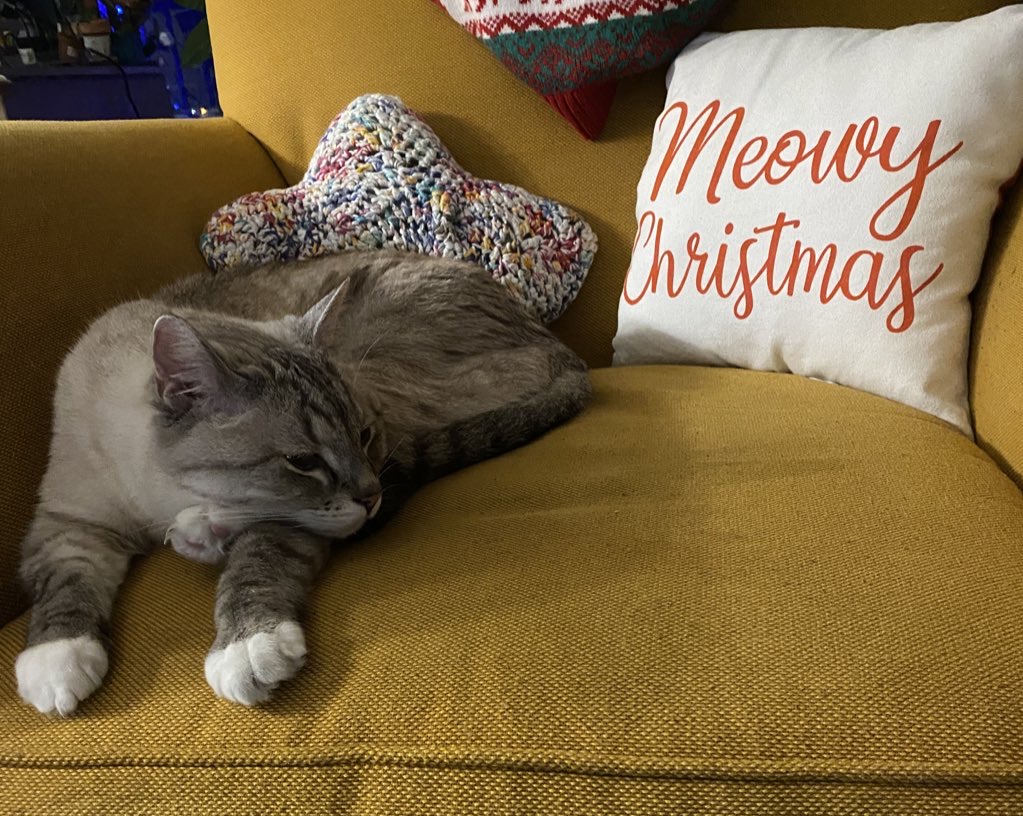 Zoloft, a lynx point Siamese cat lays with his two front paws out and a back paw under his head on a yellow chair. There is a multicolor star pillow behind him and a white and orange square pillow that says "Meowy Christmas"