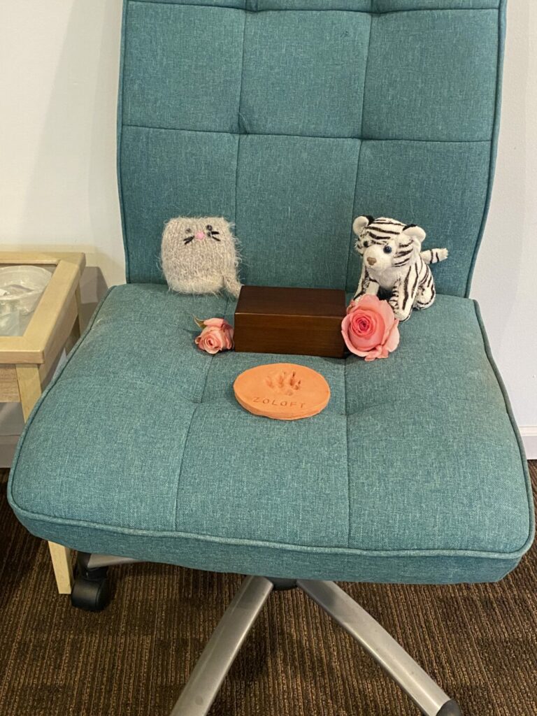 The guest of honor for a memorial service for a cat is the cat. Zoloft's ashes in a wooden box are sitting on The Chair (a teal office chair he loved) along with a knitted version of him, a white tiger toy, two pink roses, and a red paw print.