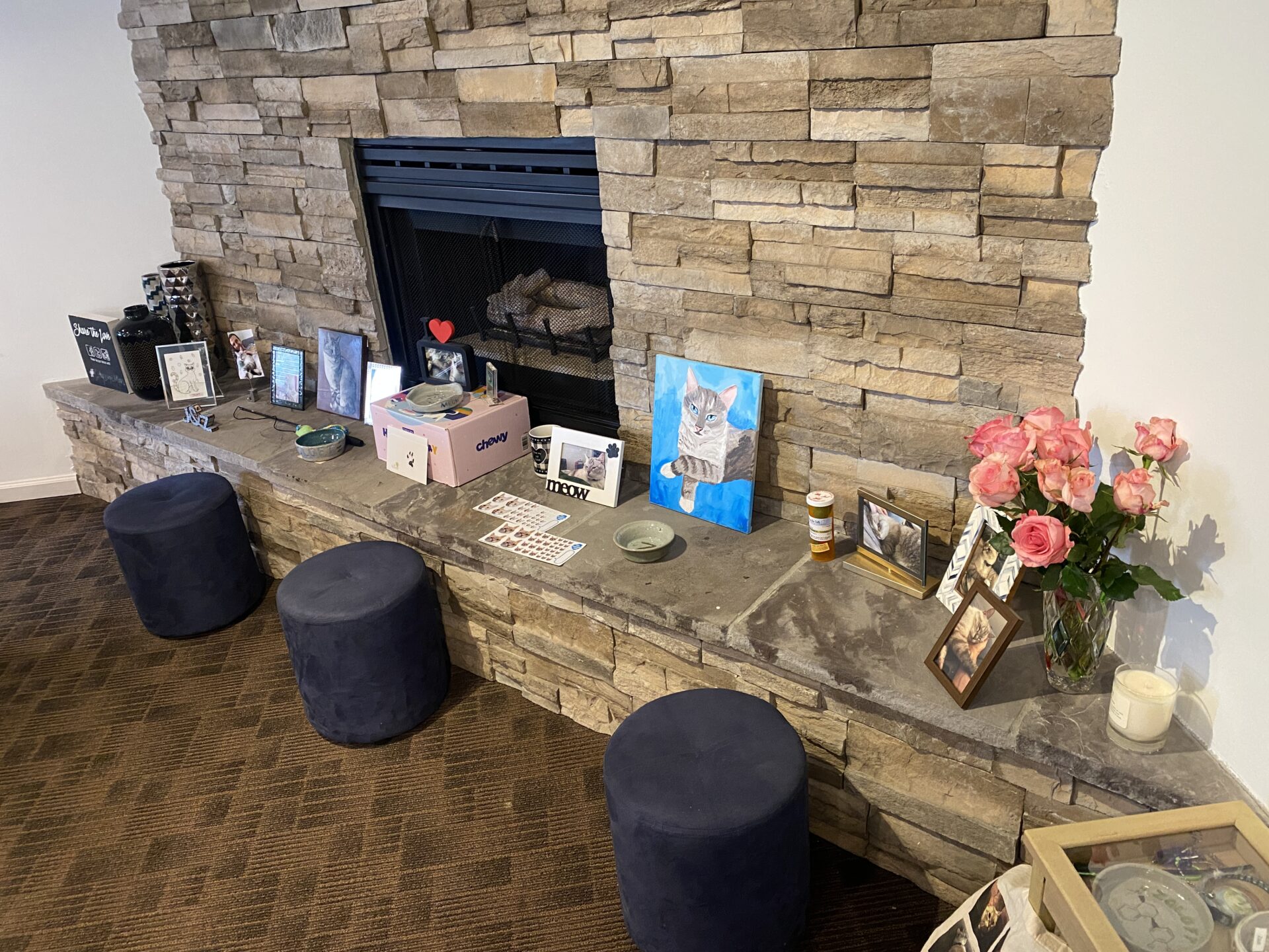 A picture of a fireplace set up for a Zoloft's memorial service There are roses, pictures, a box from Chewy, bowls, his favorite toy, and more in view. I miss him a lot.