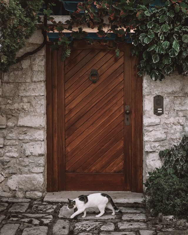 A gray and white cat walks by a closed door that is made of wood on a cobblestone path.