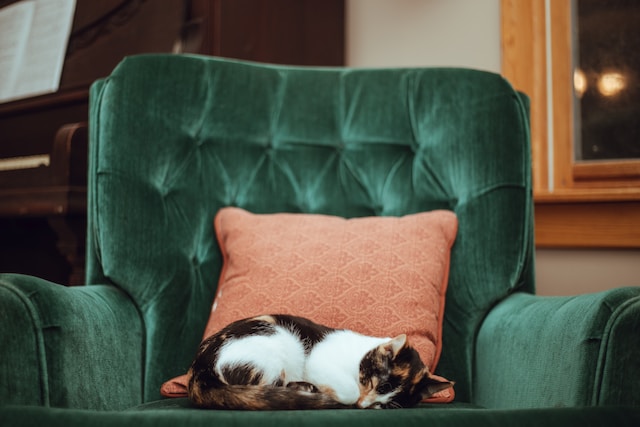 A calico cat sleeps on a deep green chair with a salmon colored pillow.