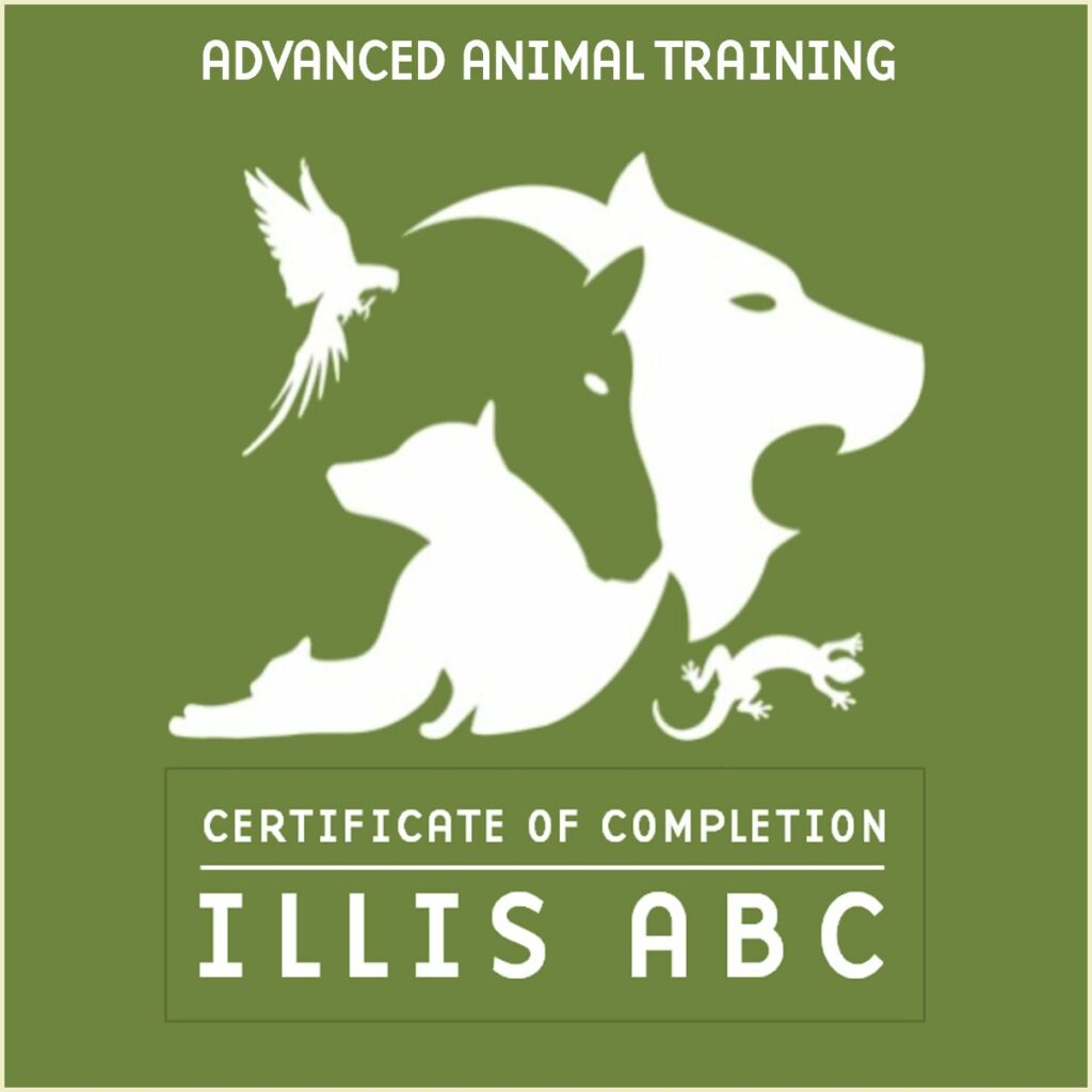 Advanced Animal Training Certificate of Completion from Illis ABC logo.